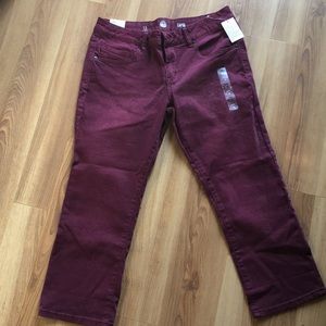 Maroon Capri Jeans